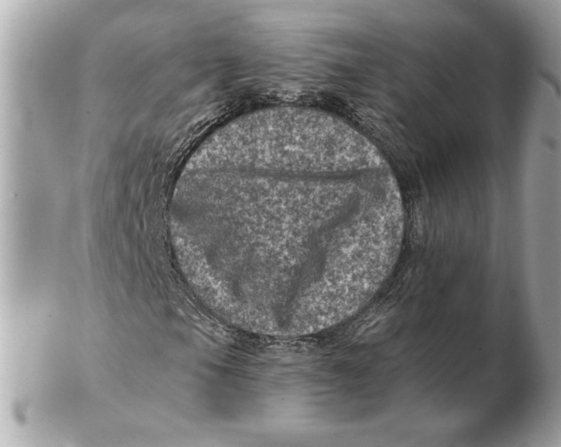 X0000102461105200808291536