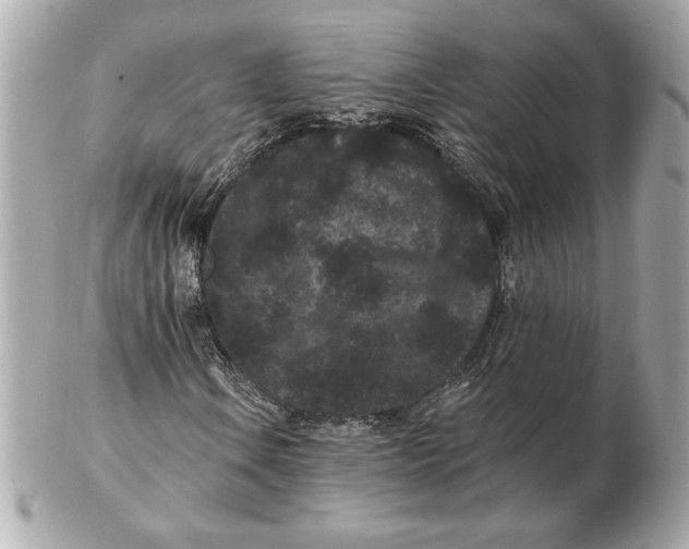 X0000102461106200808291536