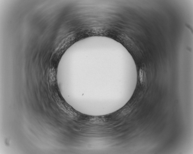 X0000102461107200808291536