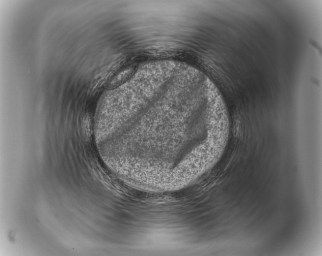 X0000102461108200808291536