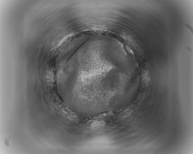 X0000102461110200808291536