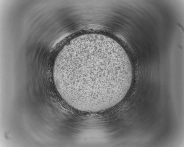 X0000102461112200808291536