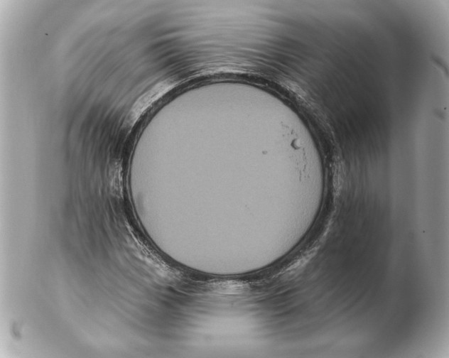 X0000102461113200808291536