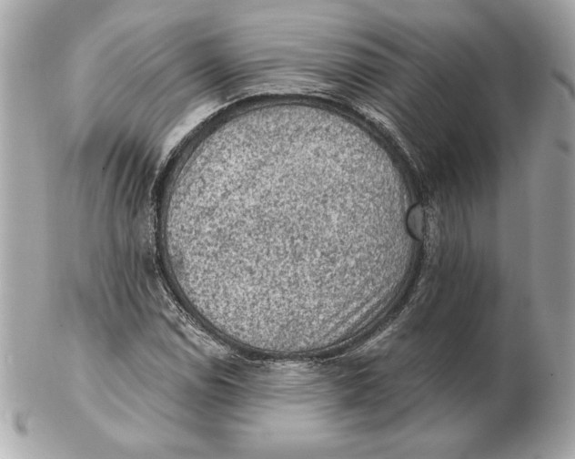 X0000102461114200808291536