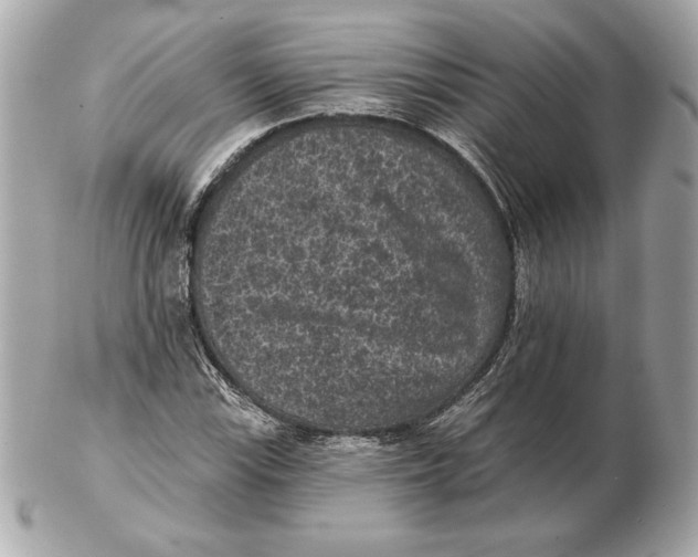 X0000102461115200808291536