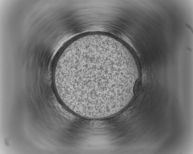 X0000102461116200808291536