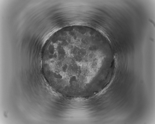 X0000102461117200808291536