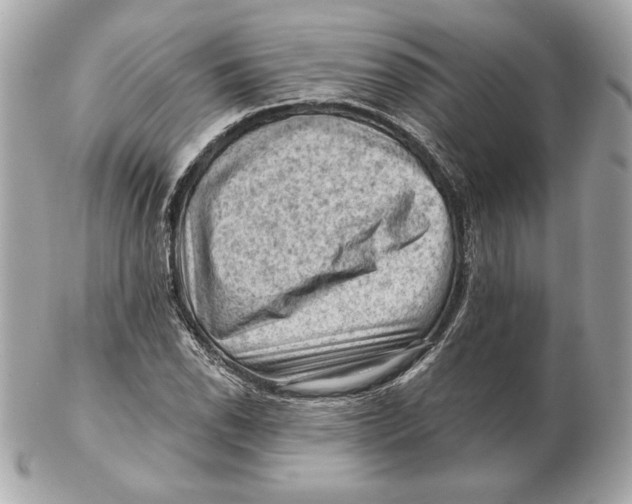 X0000102461118200808291536