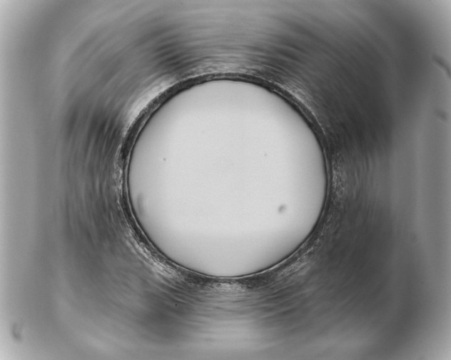 X0000102461119200808291536