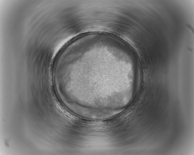 X0000102461120200808291536