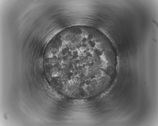 X0000102461121200808291536