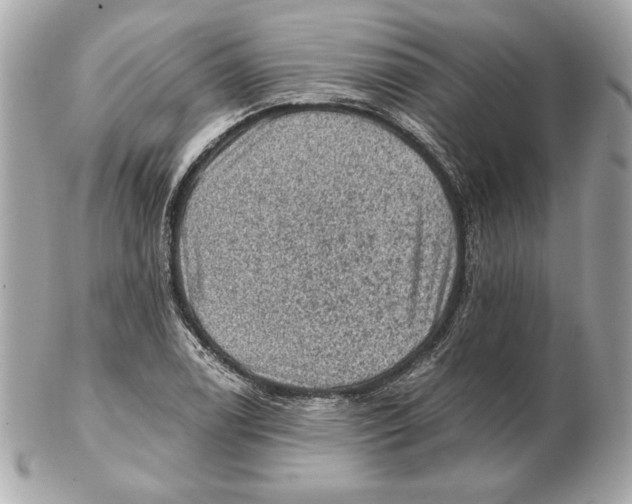 X0000102461122200808291536