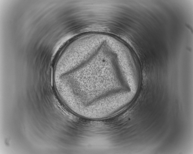 X0000102461123200808291536