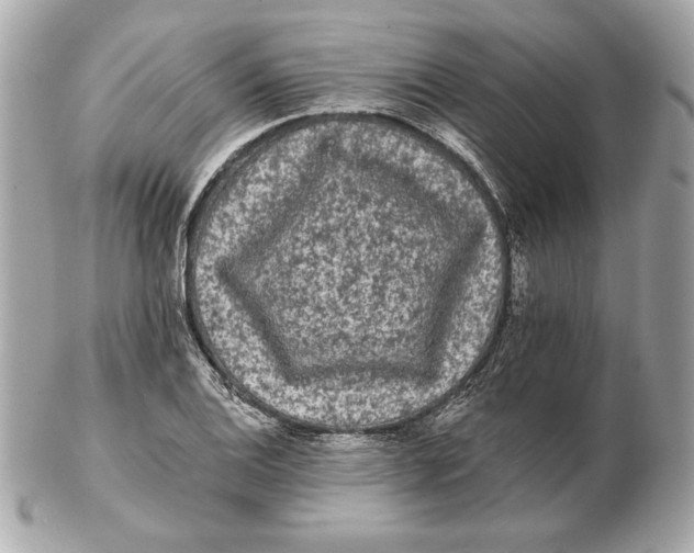 X0000102461124200808291536