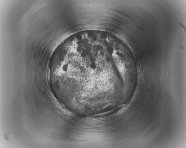 X0000102461125200808291536