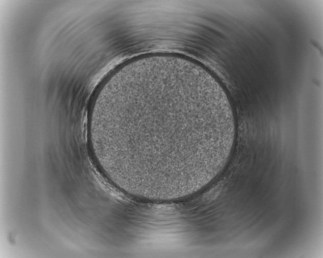 X0000102461126200808291536