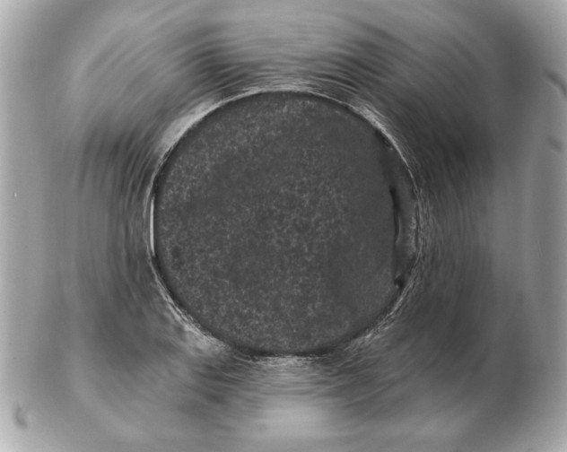 X0000102461127200808291536