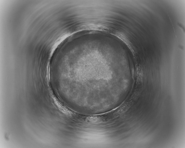 X0000102461128200808291536