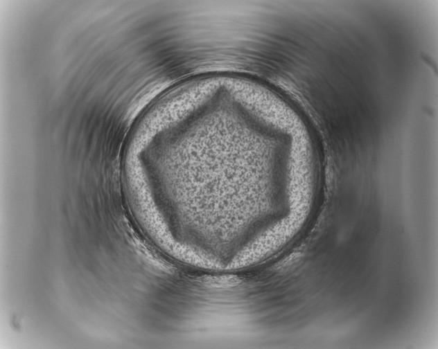 X0000102461129200808291536