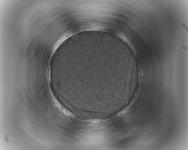 X0000102461130200808291536