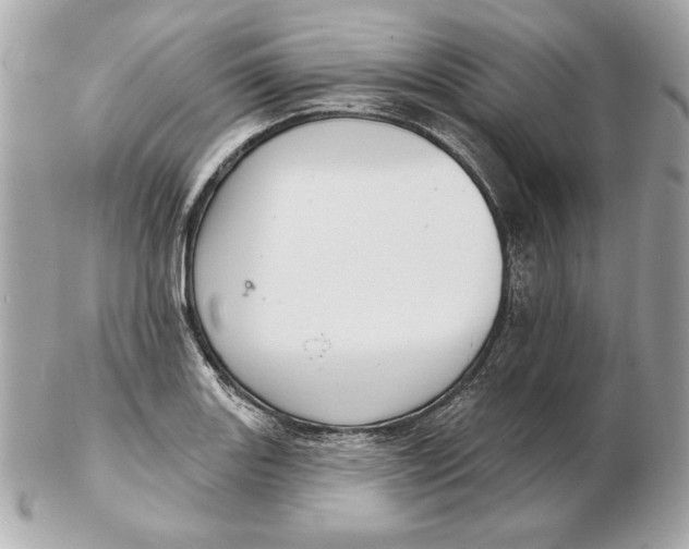 X0000102461131200808291536