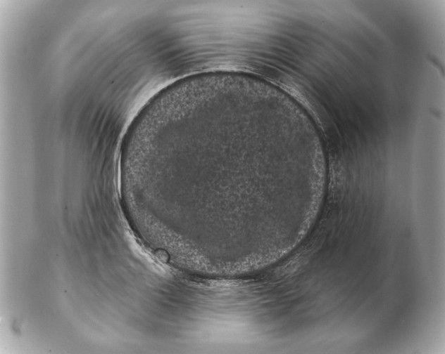 X0000102461132200808291536