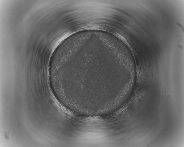 X0000102461133200808291536