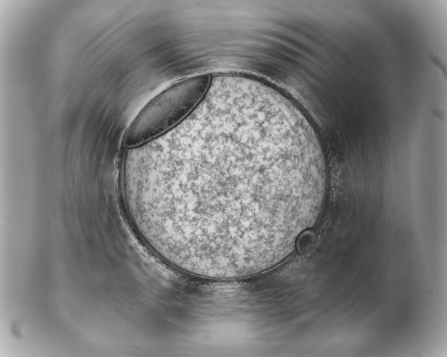 X0000102461134200808291536