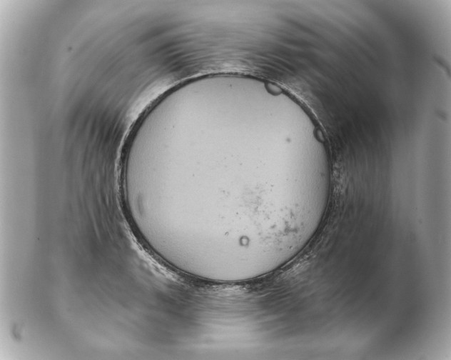 X0000102461135200808291536