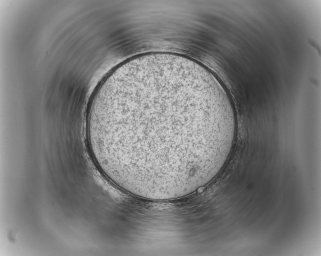 X0000102461136200808291536