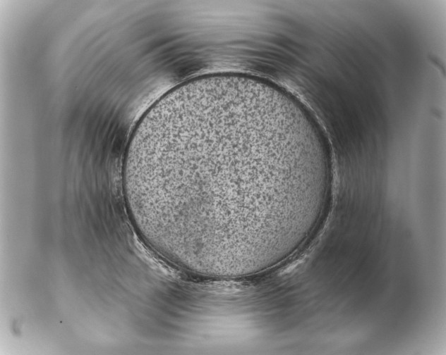 X0000102461137200808291536