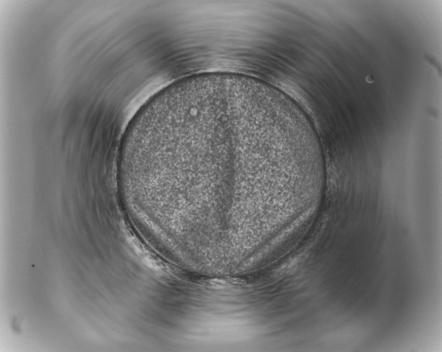 X0000102461138200808291536