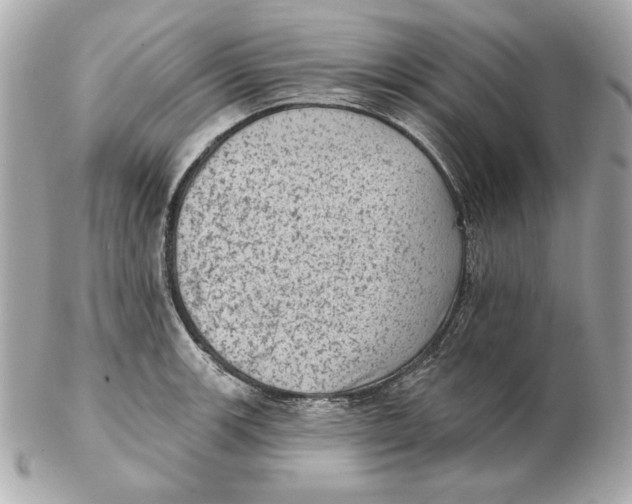 X0000102461139200808291536