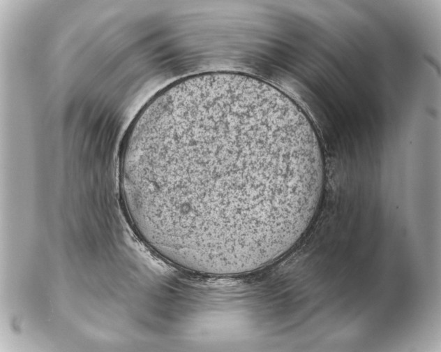 X0000102461140200808291536