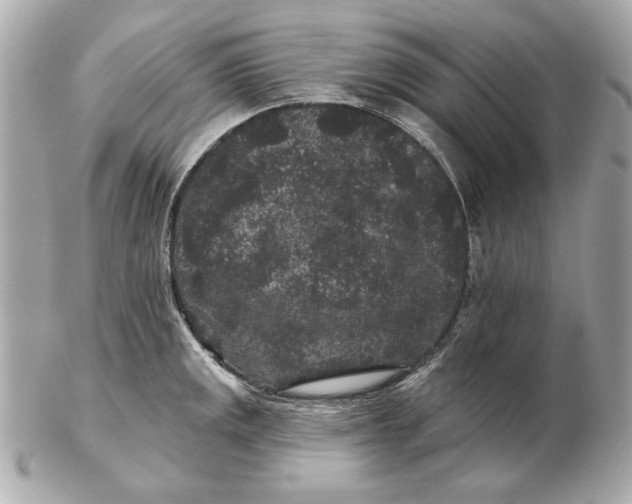 X0000102461141200808291536