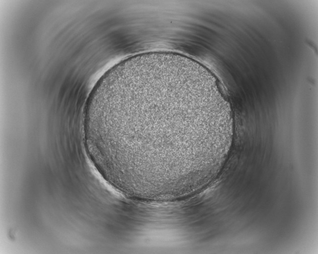 X0000102461142200808291536