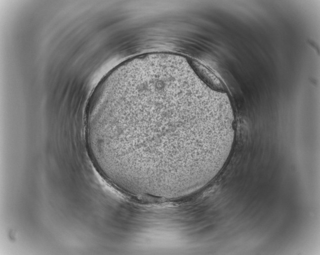 X0000102461143200808291536