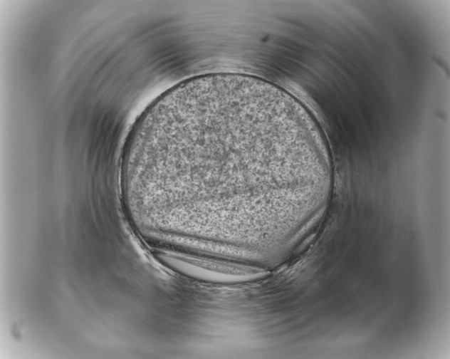 X0000102461144200808291536