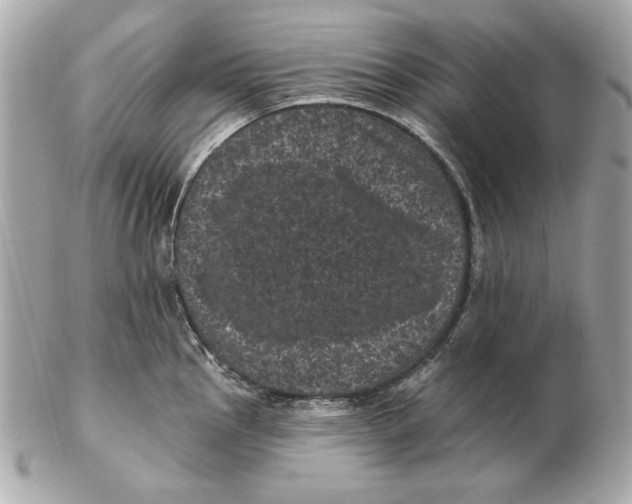 X0000102461145200808291536