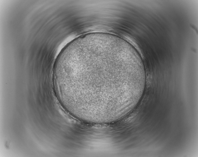 X0000102461146200808291536