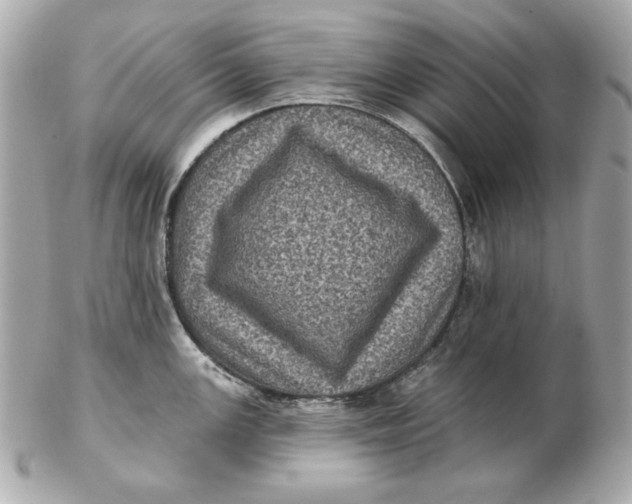 X0000102461147200808291536