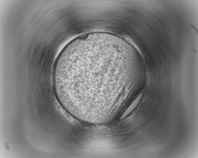 X0000102461148200808291536