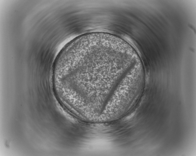 X0000102461149200808291536