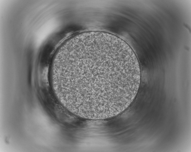 X0000102461150200808291537