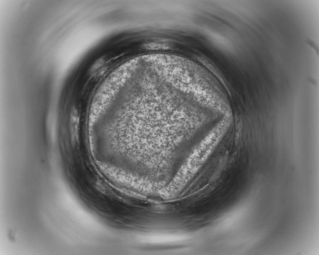 X0000102461151200808291537