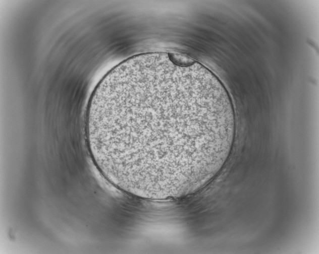 X0000102461152200808291537