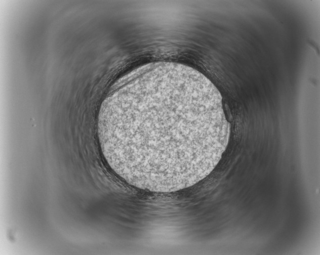 X0000102461153200808291536