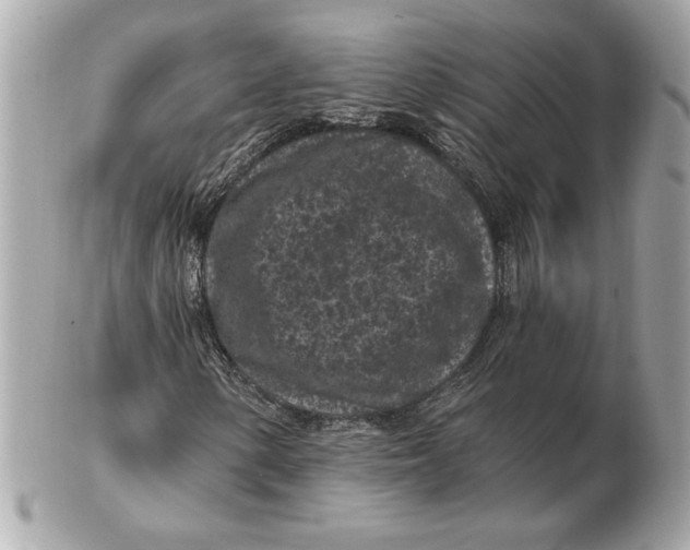 X0000102461154200808291536