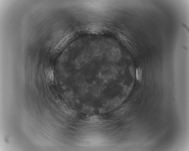 X0000102461155200808291536