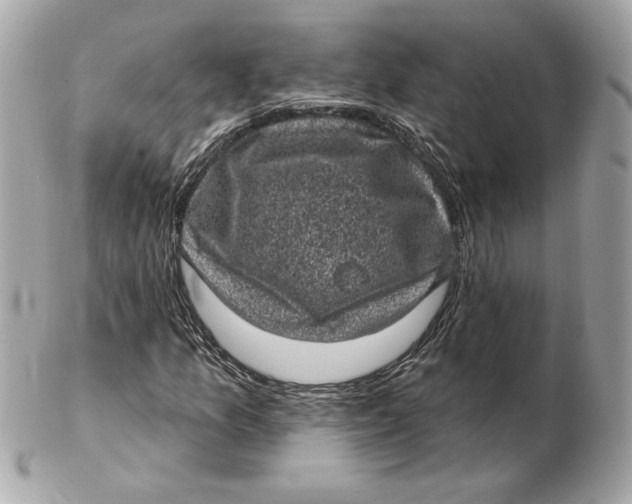 X0000102461157200808291536